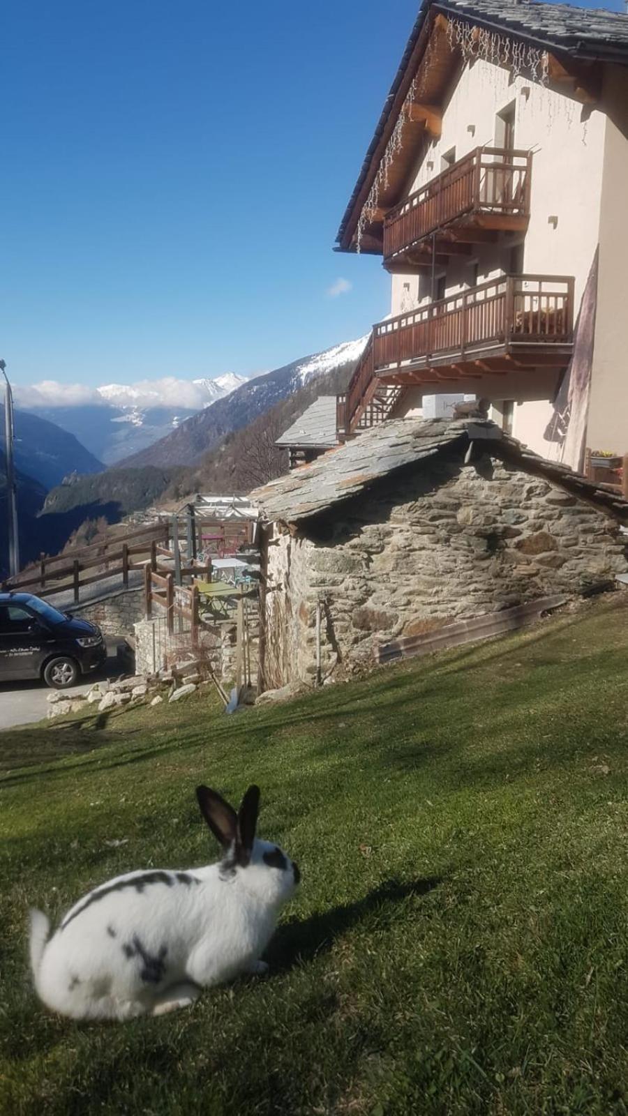 Alpe Rebelle Bed & Breakfast Bionaz Exterior photo